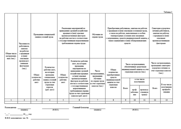 Образец отчета об использовании сумм страховых взносов на обязательное социальное страхование
