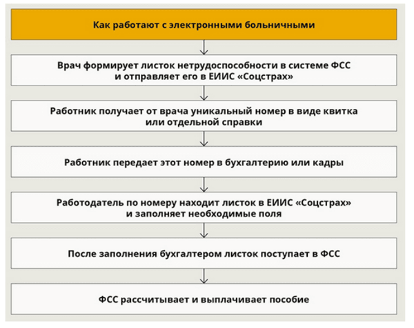 Образец Электронного Больничного Листа Фото 2022