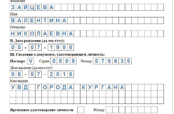 Что такое пилотный проект фсс