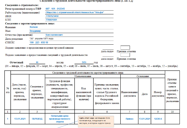 Руководитель проекта трудовая функция для сзв тд