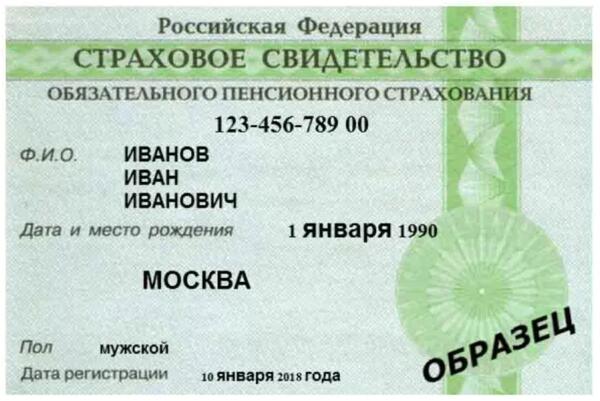 номер снилс онлайн официальный сайт
