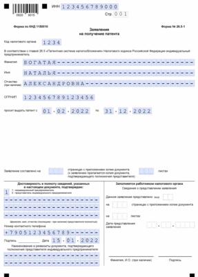 Образец: заявление на патент для розничной торговли на 2022 год