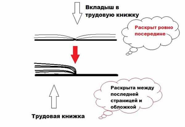 Трудовая книжка Оформление вкладыша в трудовую книжку, образец