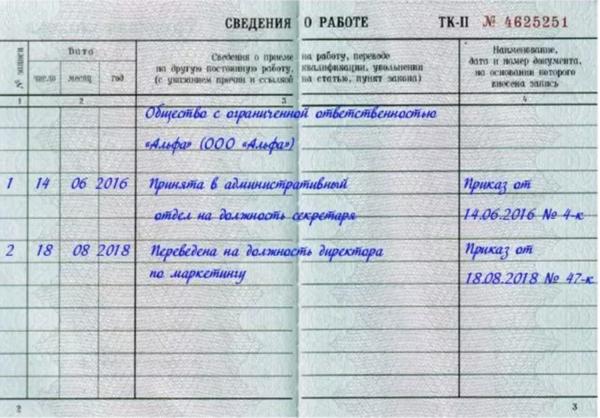 Курсовая работа по теме Трудовая книжка