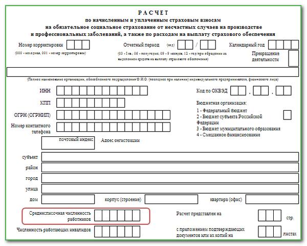 Фсс срок сдачи в 2024. ФСС форма 4-ФСС 2022. 4 ФСС за 2 квартал 2022 новая форма. Форма 4 ФСС В 2023 году. 4фсс 2022 форма.